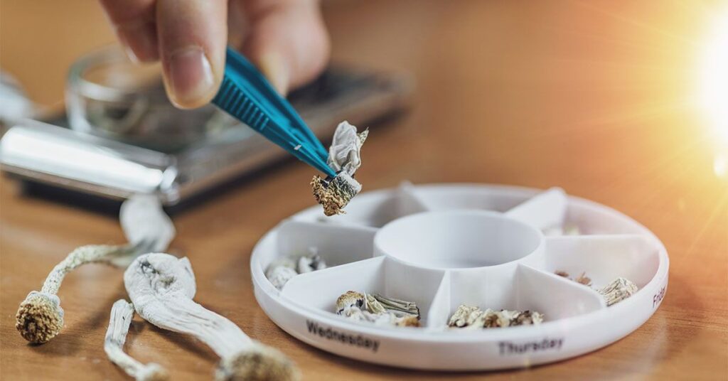 Microdosing Mushrooms