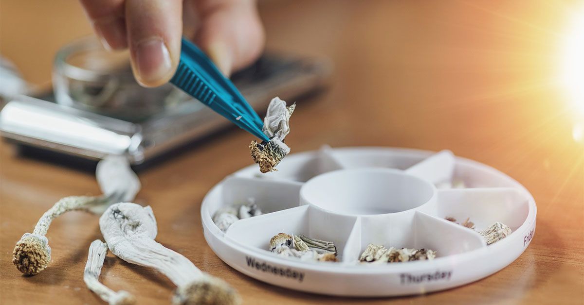 Microdosing Mushrooms