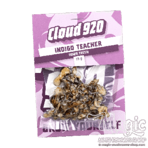 Indigo Teacher Truffles